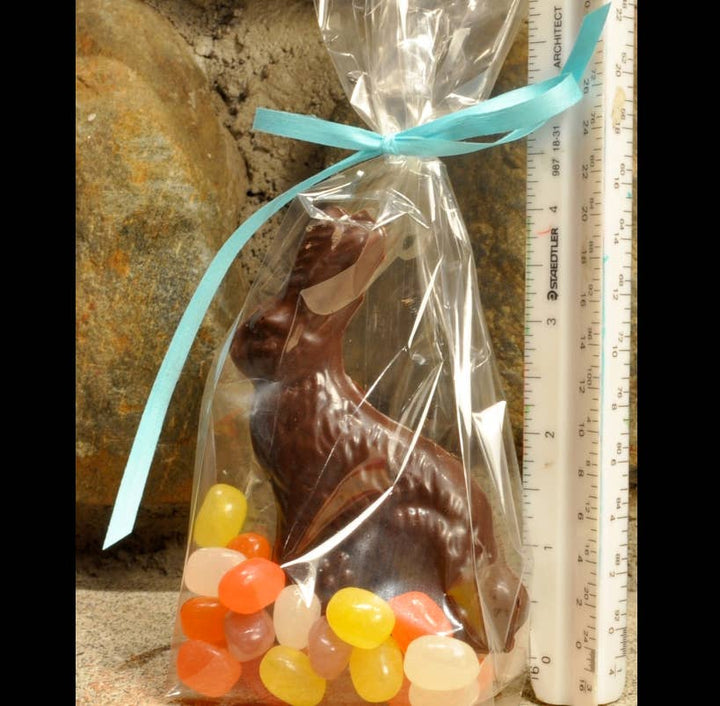 Chocolate Easter Bunny with Beans