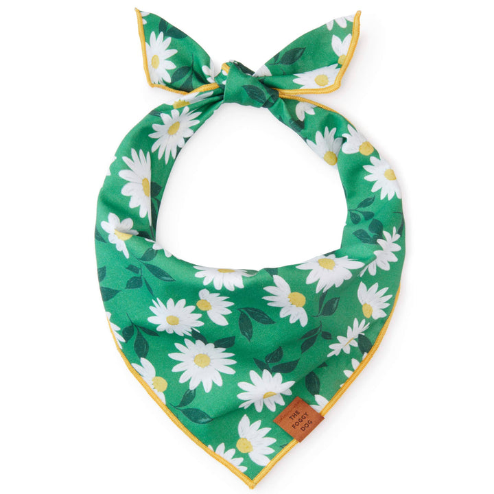 Coming Up Daisies St. Patrick's Day Dog Bandana