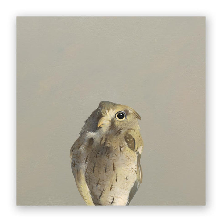 Screech Owl Panel Wings on Wood, 10 x 10