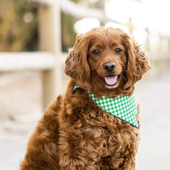 Grass Gingham Dog Bandana, Medium
