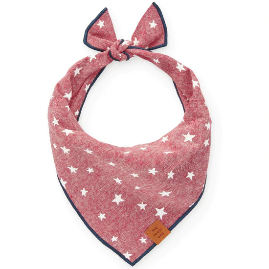 Lucky Stars Dog Bandana, Medium