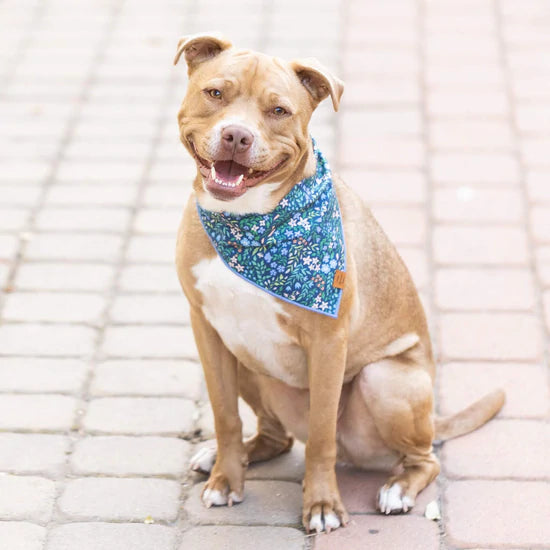 Primavera Dog Bandana, Large