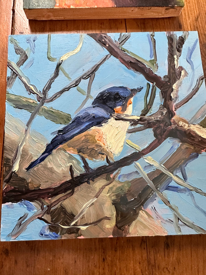 Derek Bell Painting Bluebird Amongst Branches