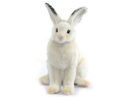 Bunny, white, sitting, 6