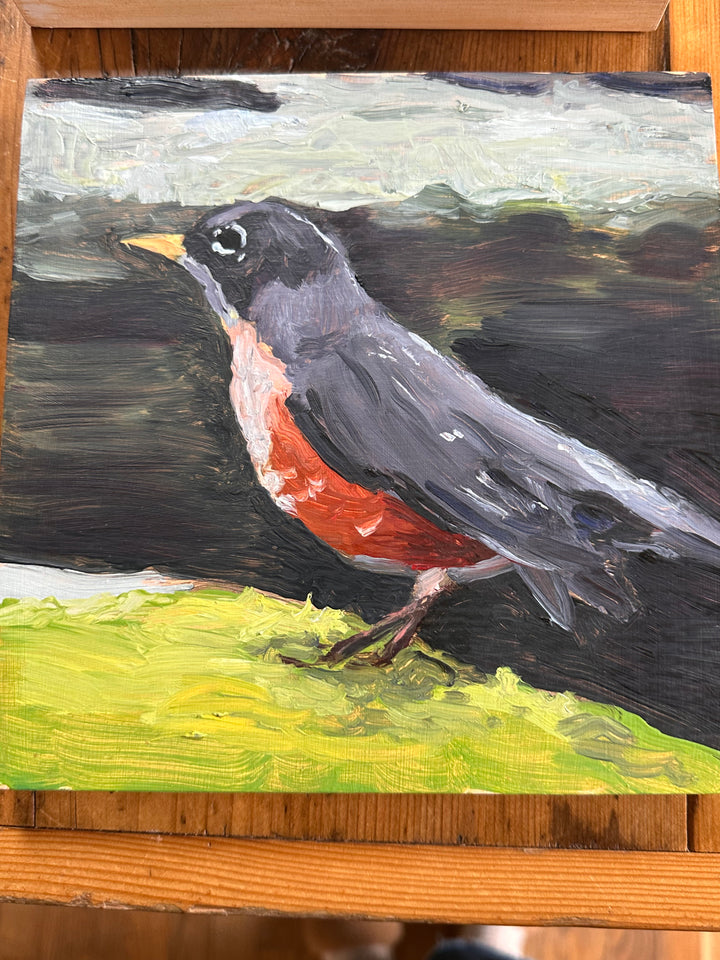 Derek Bell Painting American Robin